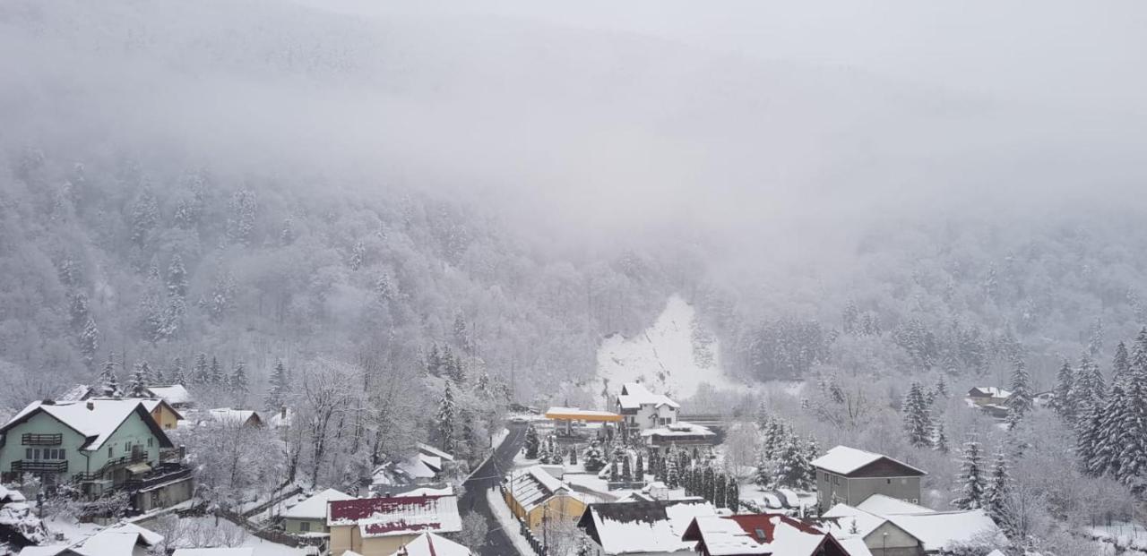 Elite Apartments Sinaia Exterior photo