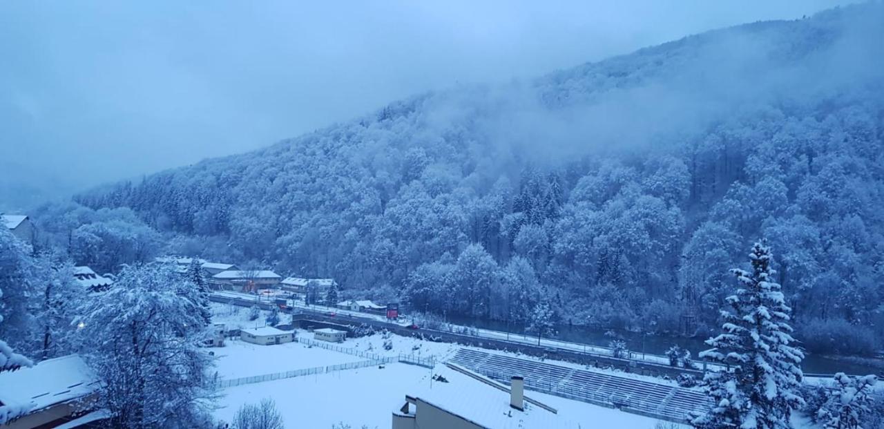 Elite Apartments Sinaia Exterior photo